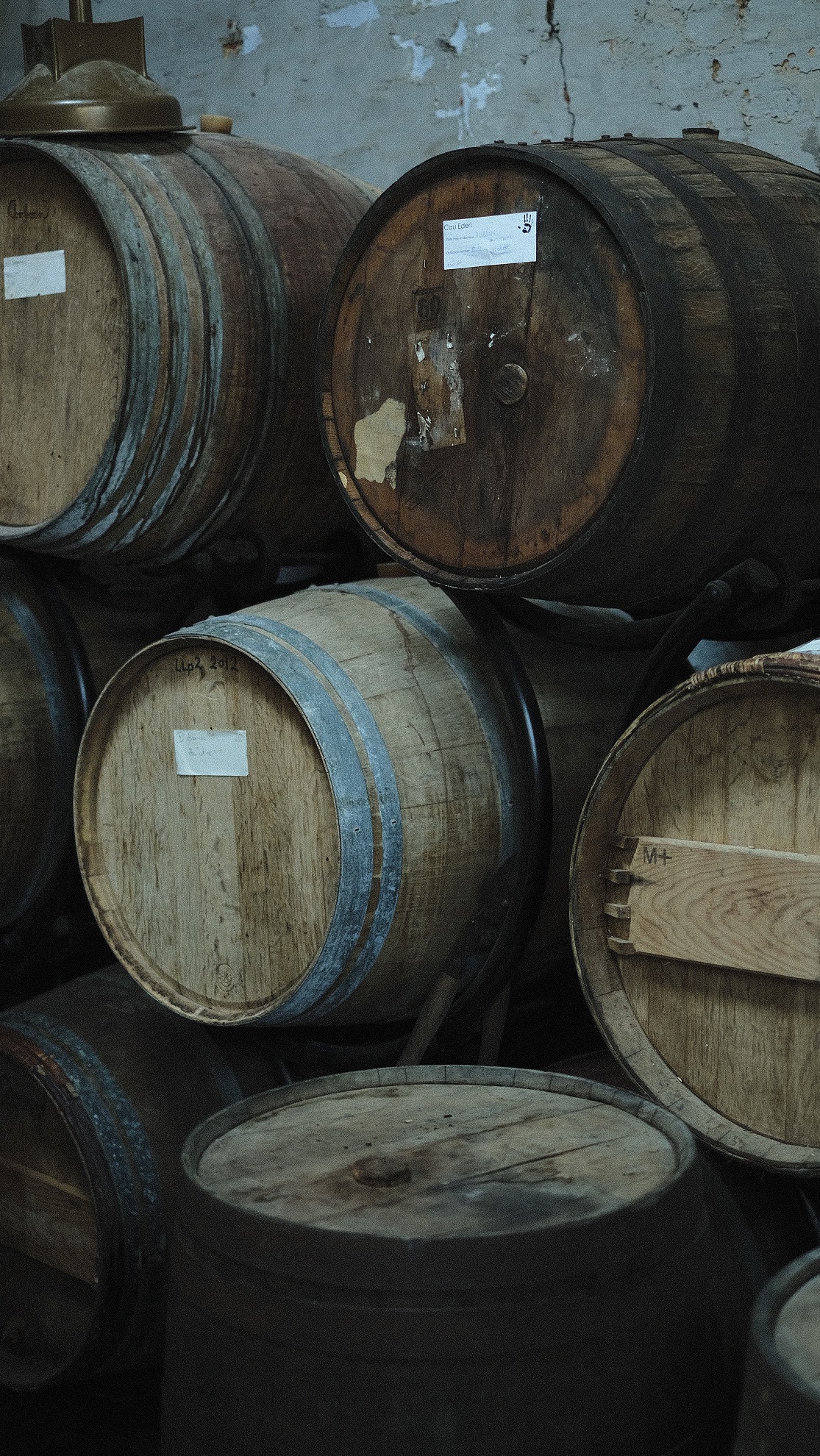 CASKS